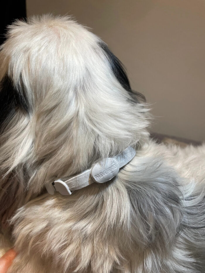 FRANCODEX PL Obroża na kleszcze PREVENDOG 35 cm dla psów do 5 kg - 1 szt - obrazek 16