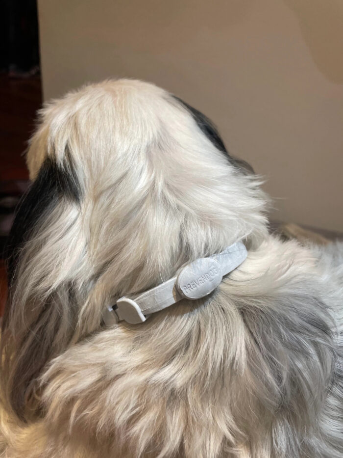 FRANCODEX PL Obroża na kleszcze PREVENDOG 35 cm dla psów do 5 kg - 1 szt - obrazek 17